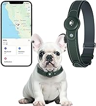 2-in-1 GPS Tracker for Dogs: Smart Collar with Real-Time Location, No Monthly Fee, Unlimited Range (iOS Only) GPS Tracker Dog Collar- Ideal for Small, Medium Large Dogs(Tracker Included)(Green)