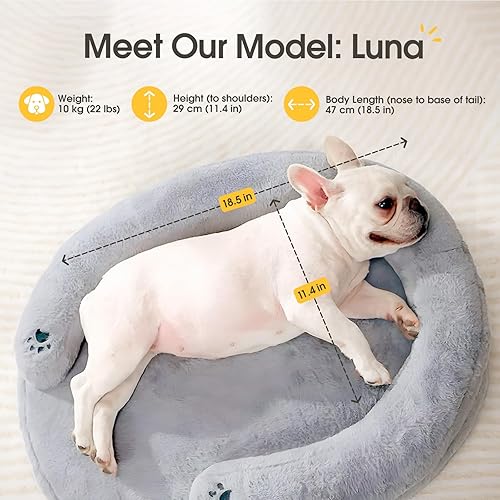 Miniatura 2 de BurgeonNest Cama ortopédica para perros pequeños, impermeable, suave, para mascotas, gatos, cachorros, con almohada, funda extraíble lavable, parte