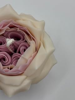 Candle The Rose by David Austin (White-Pink)