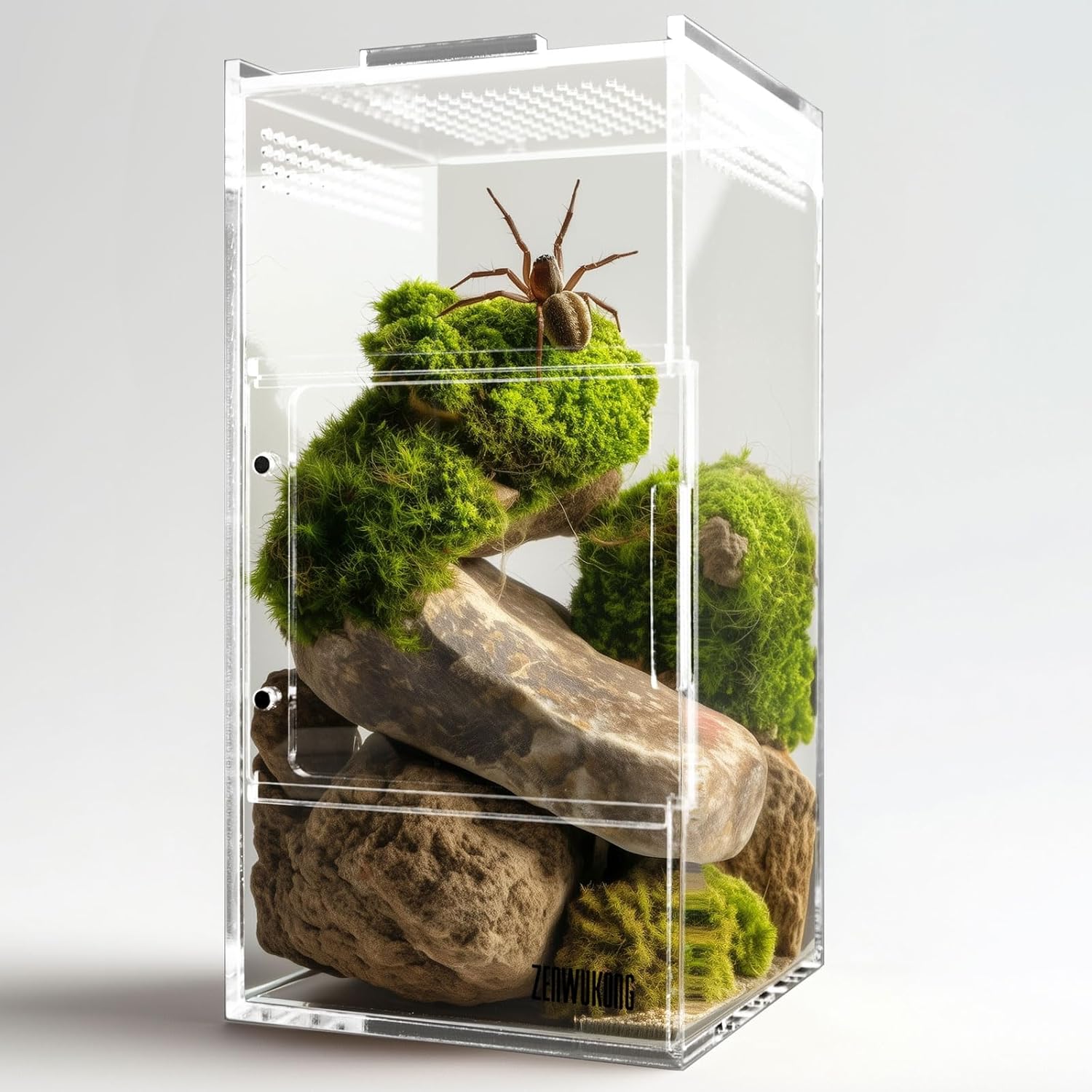 Jumping Spider Enclosure – Acrylic Terrarium Habitat for Spiders, Tarantulas, Snail, Mantis, Lizard, and Small Reptiles, Magnetic Doors (3x3x6 inch)