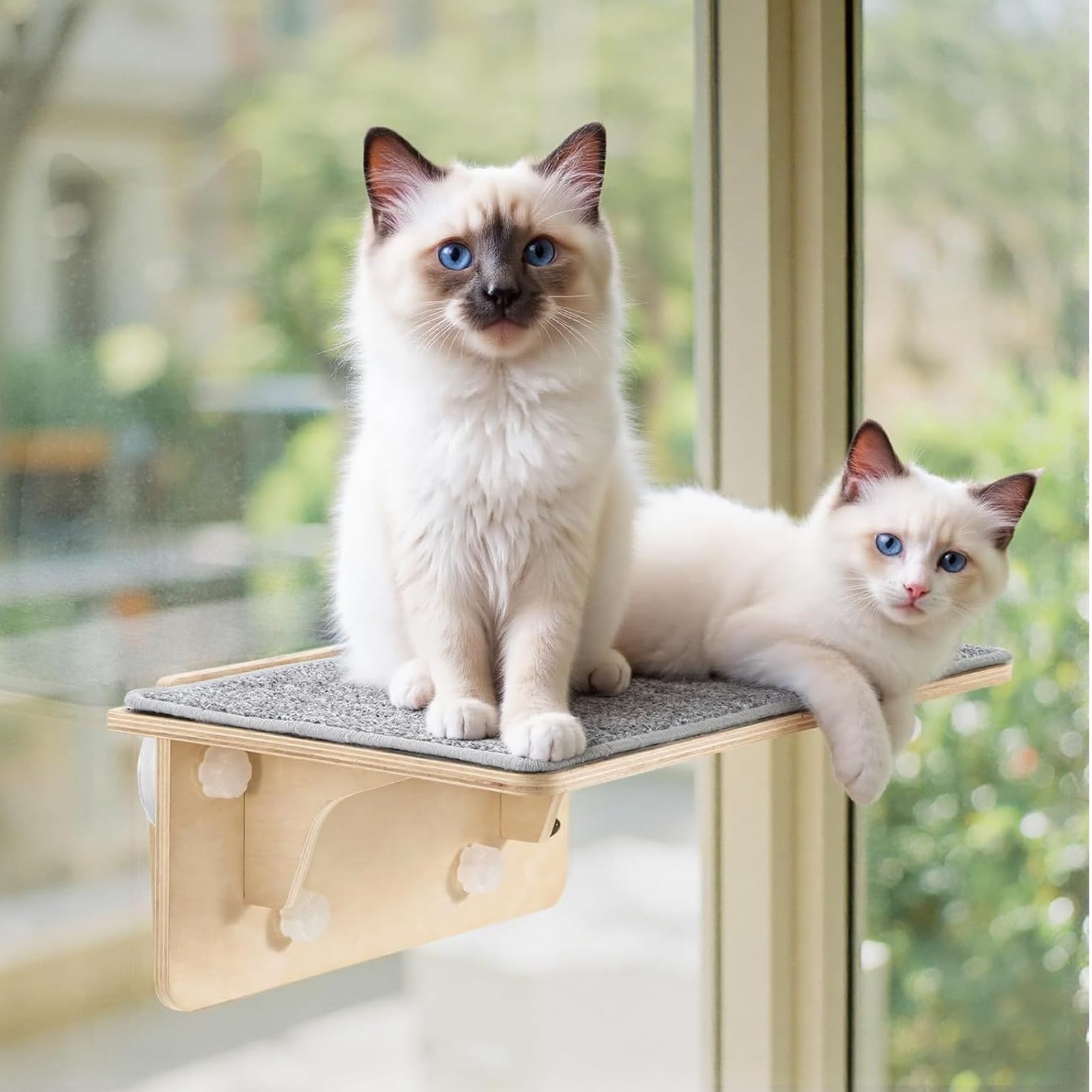 Piattaforma Per Gatti Alla Finestra Seduta Per Arrampicata In Legno Con | Ripiano Gatti A Parete E Finestra per Appartamento Soggiorno Camera da Attico e Casa