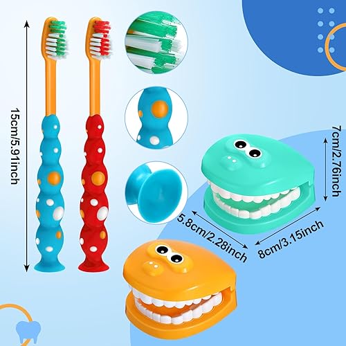 Miniatura 2 de Skylety Juego de 2 juegos para dentistas, modelo de dientes dentales con cepillo de dientes, tarjetas educativas, tamaño estándar