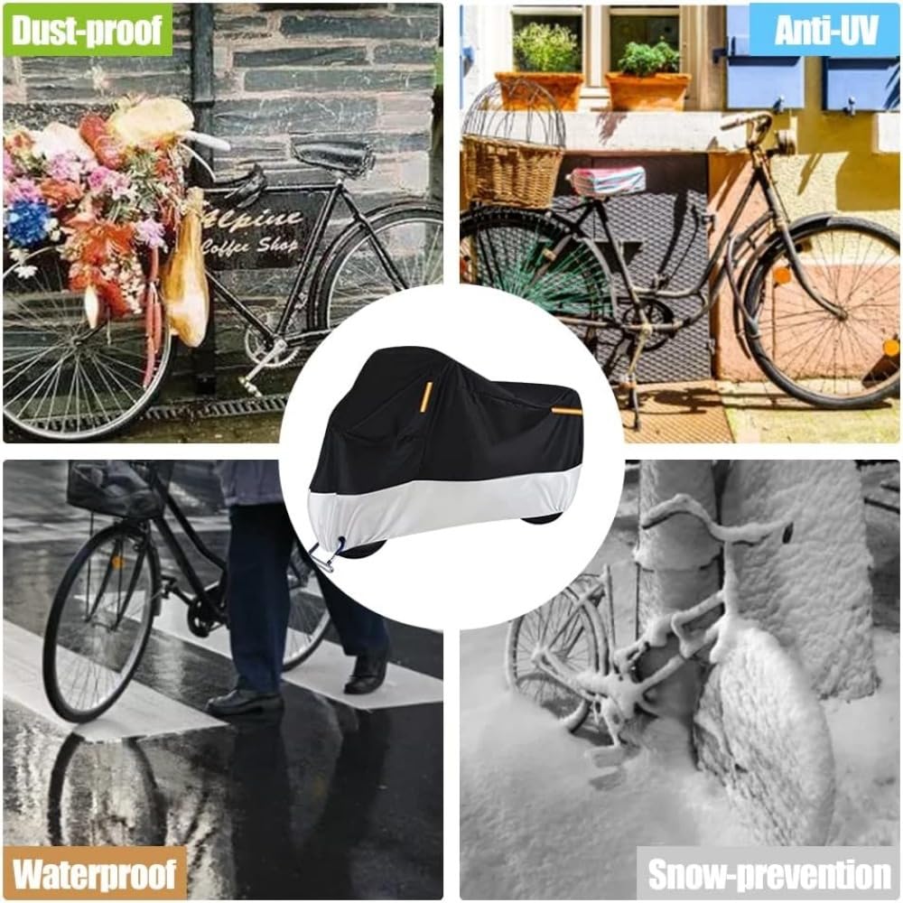 View 6