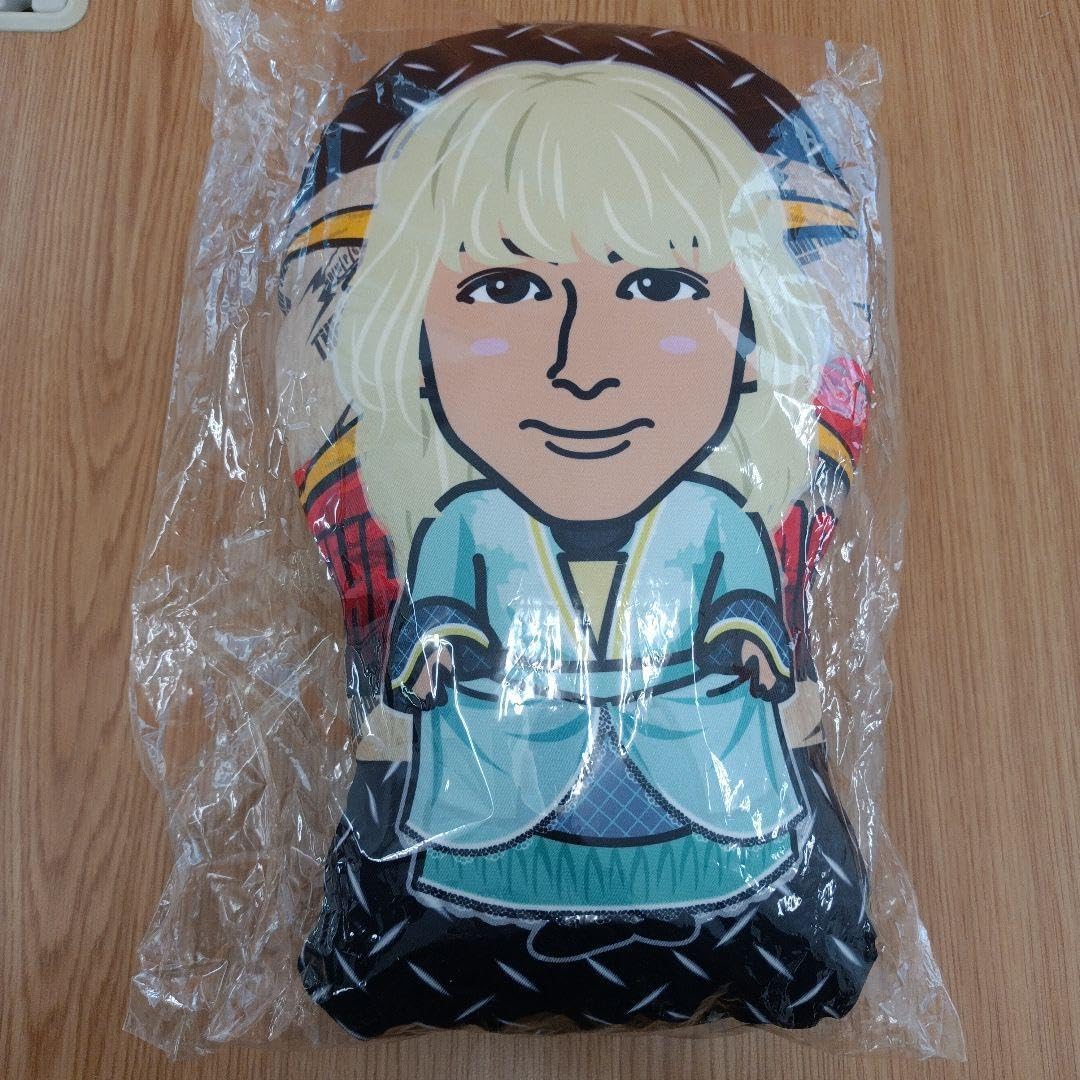 長谷川慎 クッション 出回り無し】長谷川慎 クッション fears 背面 後ろ姿 レア シクレ