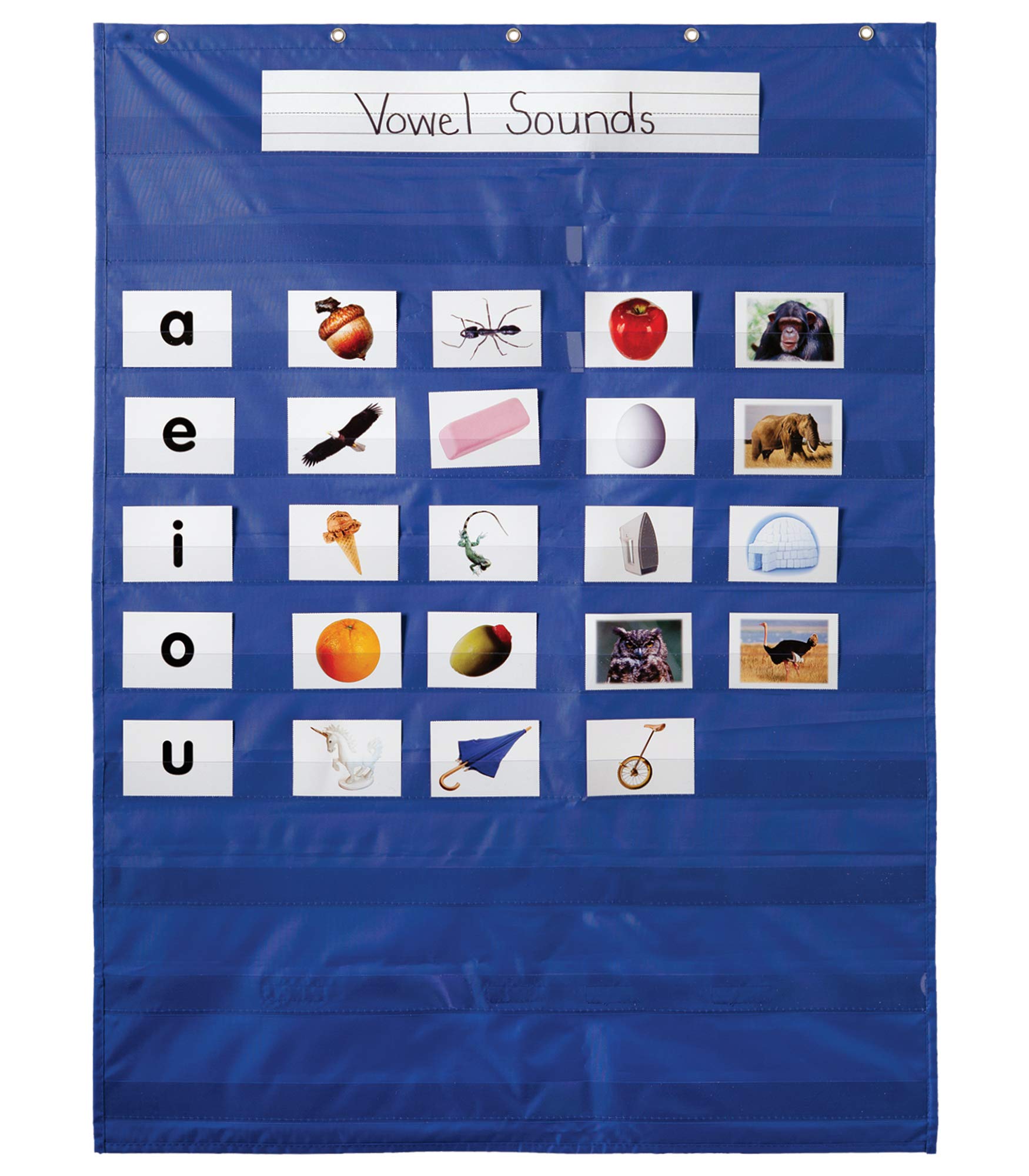 Buy Carson Dellosa Education Essential Pocket Chart—, Schedule, Games