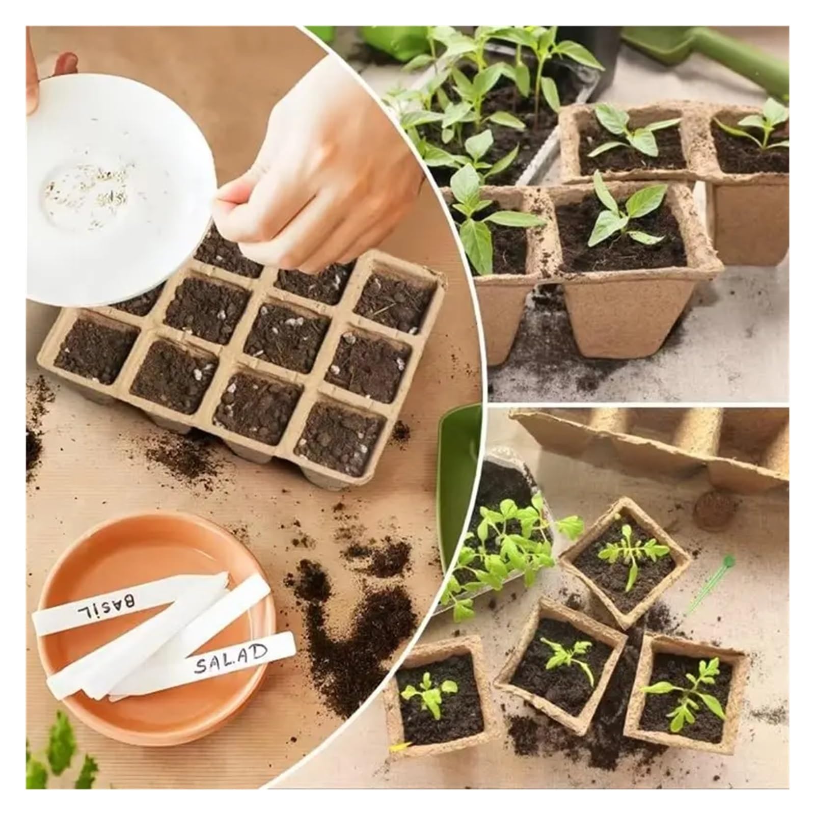 Plaque Semis Plateaux de semis, conteneurs, gobelets à pulpe, Outils de Germination des Plantes de Jardin, 20/40 pièces(Brown-40PCS 3)