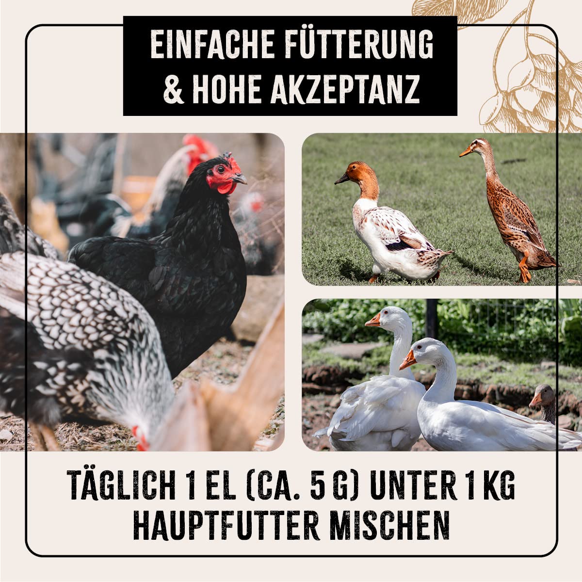 FarmLife Lievito di birra per polli e pollame, mix speciale, 1 kg, integratore naturale in lievito di birra BT, bacche di aronia e farina di torta di lino, supporta la digestione, la pelle e la