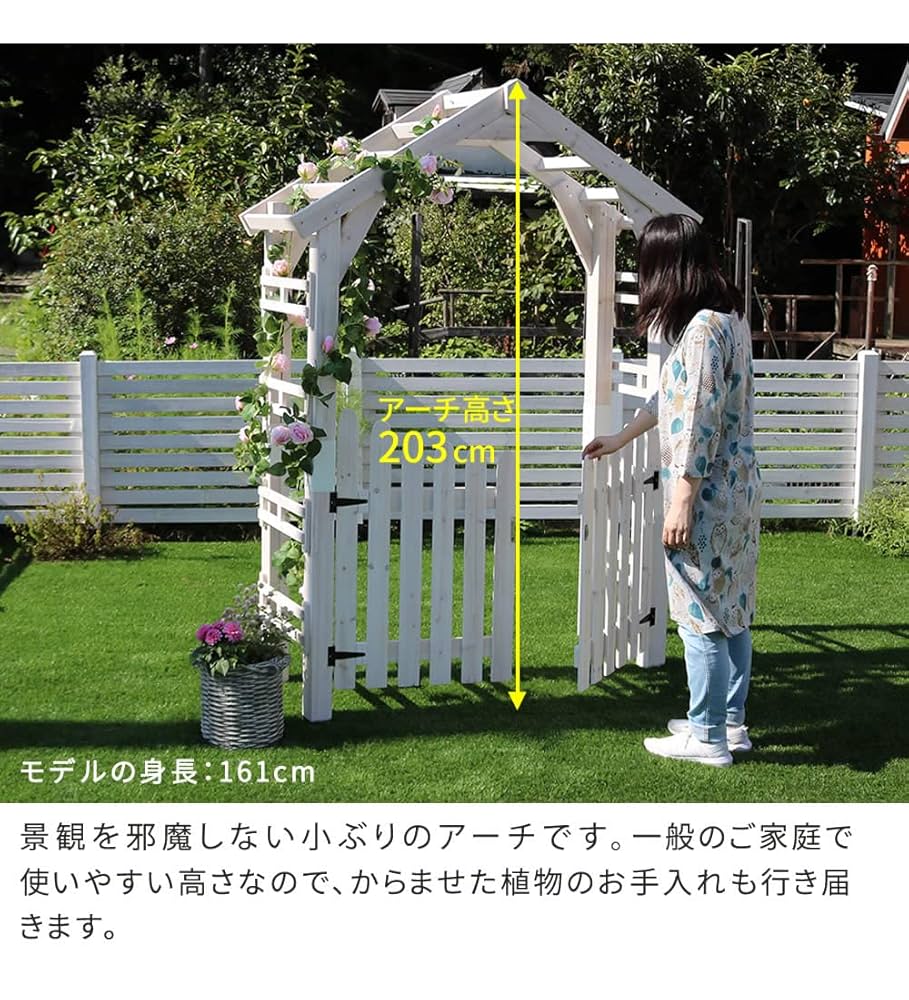 Amazon.co.jp: フラップシップファニチャー シダーウッド