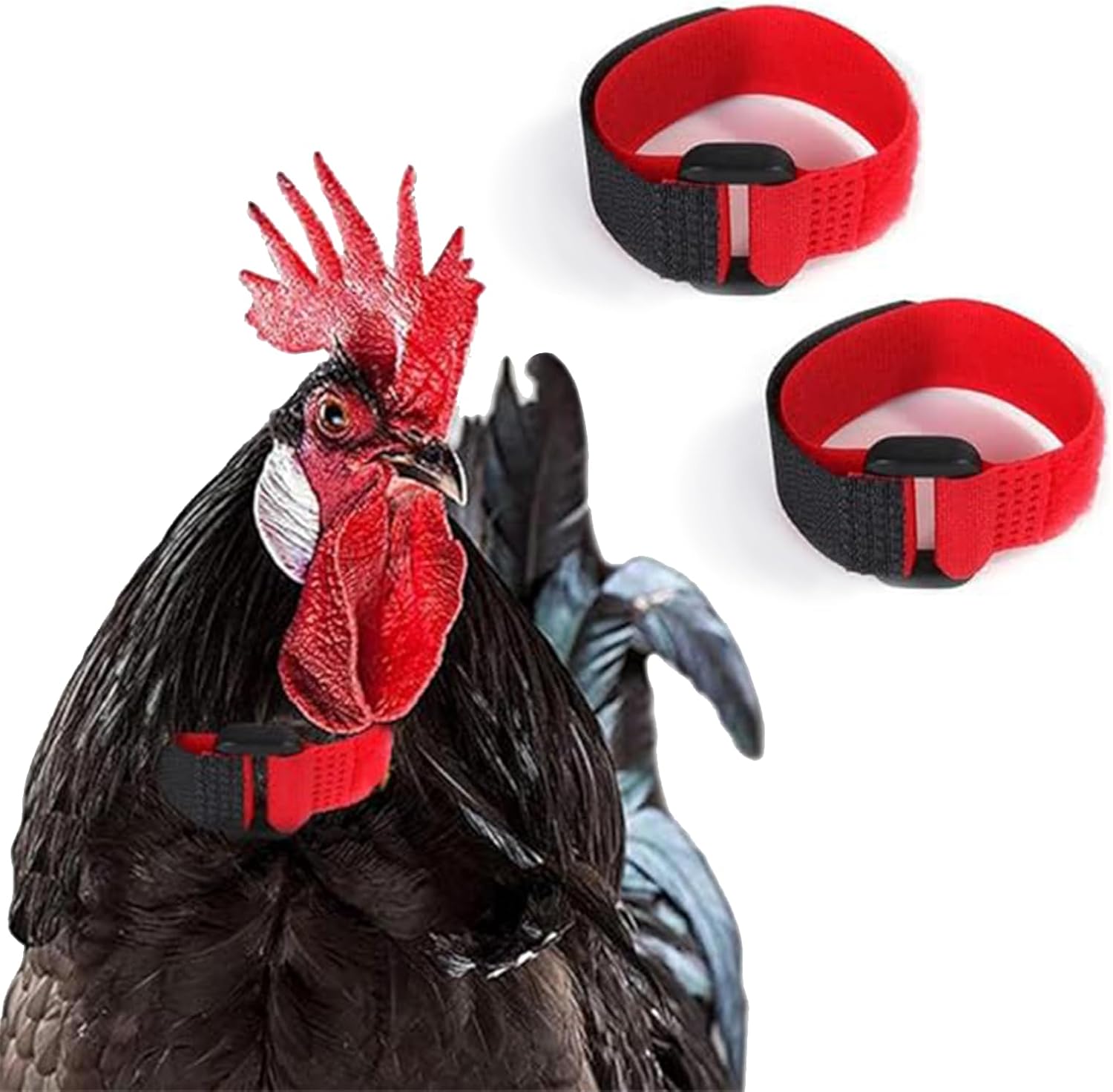 2Pcs Black and Red No Crow Rooster Collar, Crow Collar