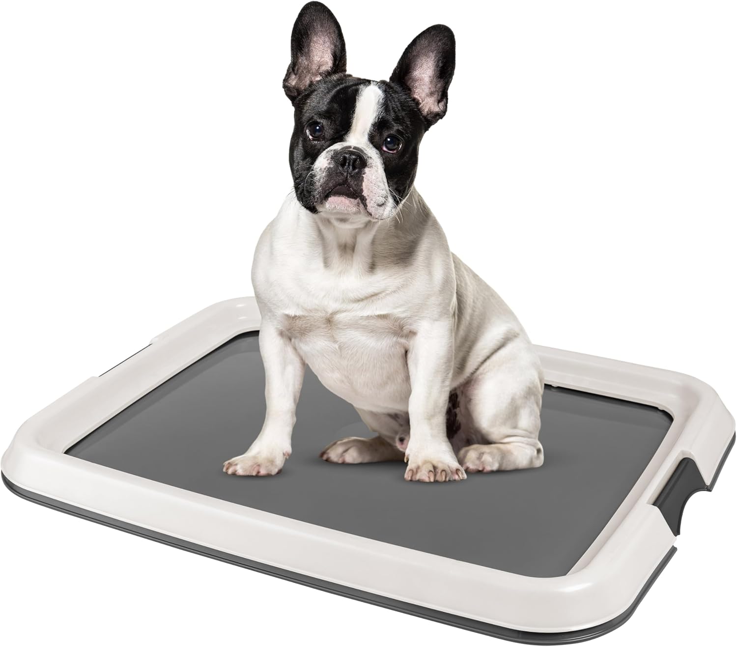 Pet Training Pad Holder for Dogs Dark Gray in Nepal at NPR 4956