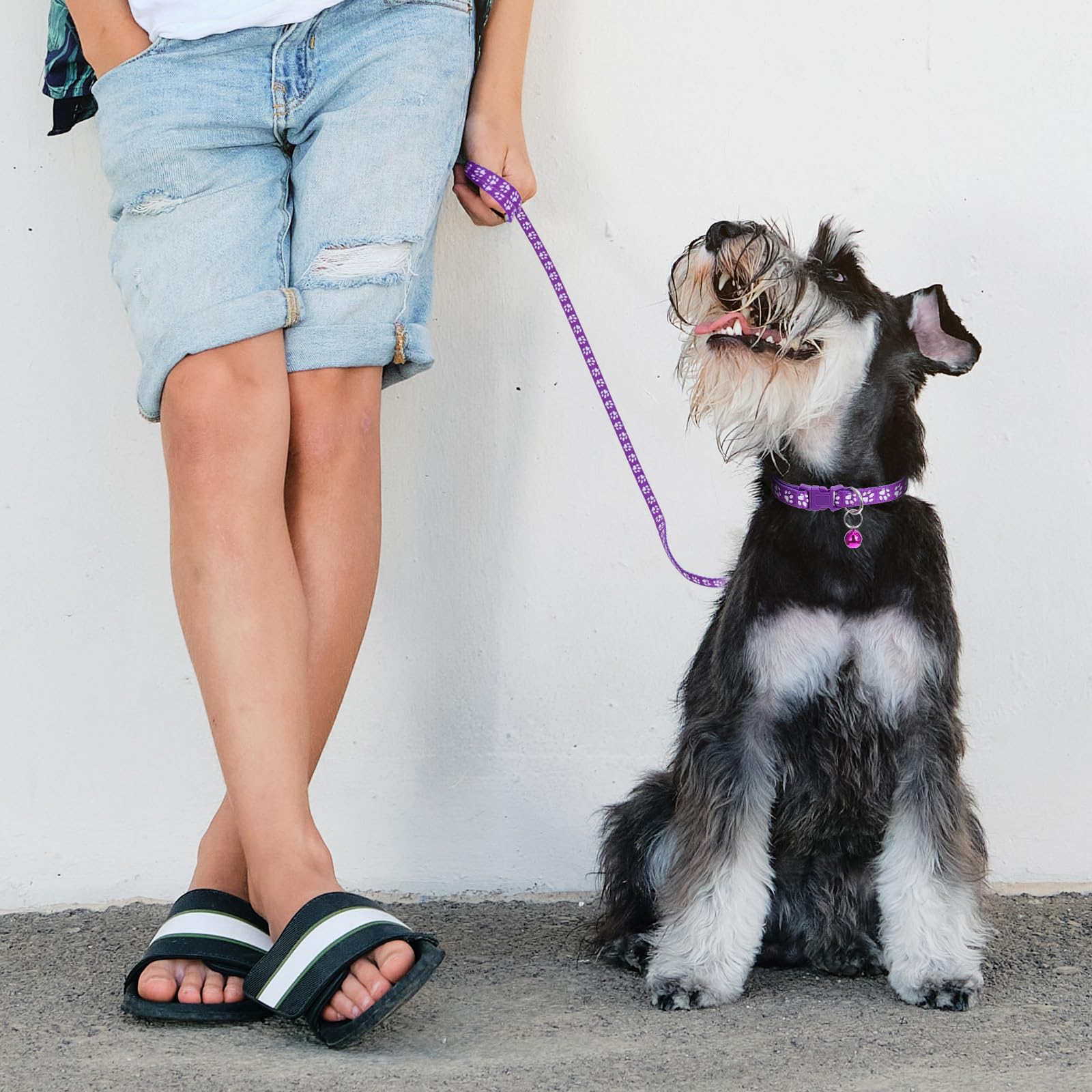 36PCS Quick Release Buckle Adjustable Puppy Paw Print Collar and Leash Set, Dog Collar and Leash Set, Soft Nylon Material, Suitable for Small Dogs, Cars and Pets