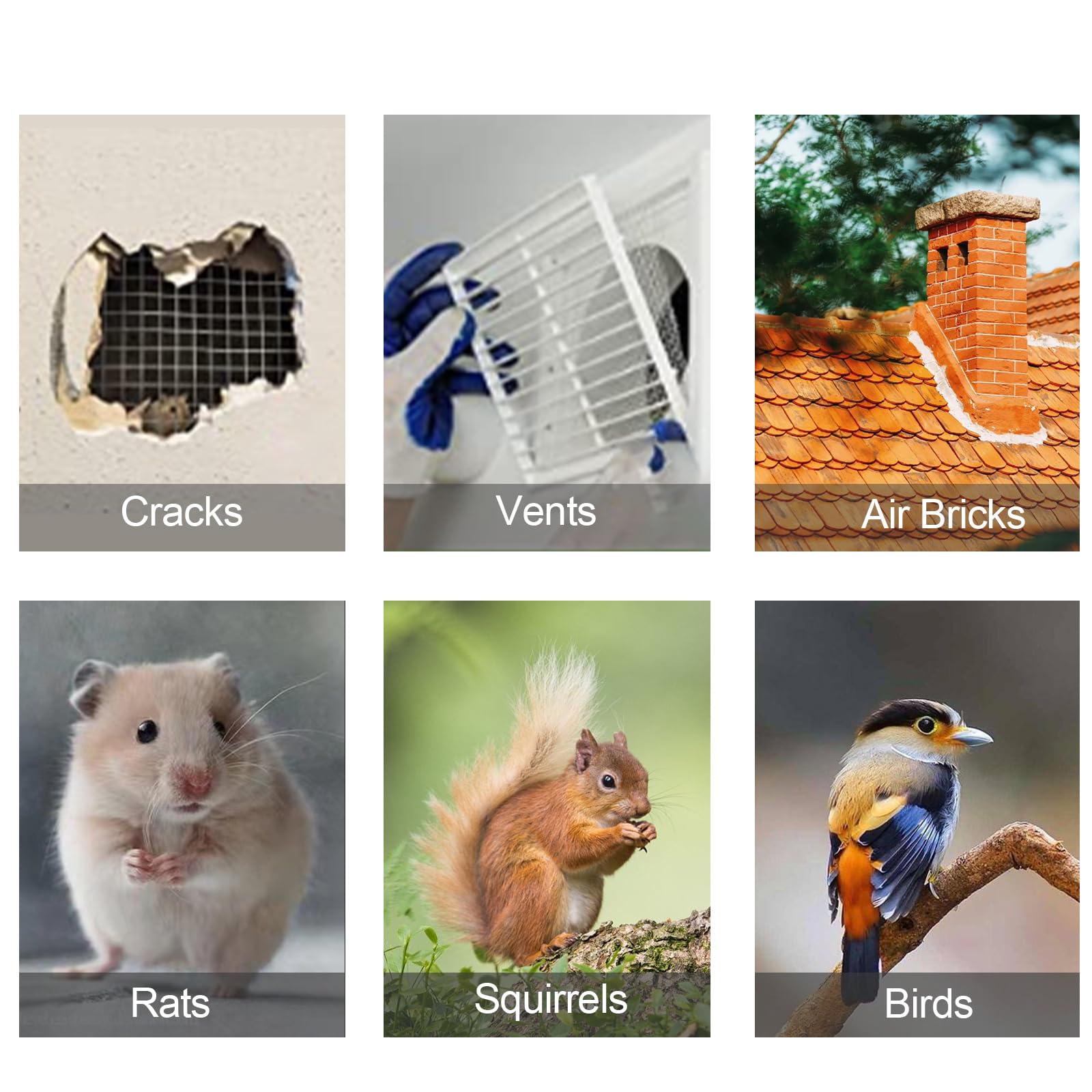 Inoxia Edelstahlgitter 30x30cm | Rattenschutz Mit 7,3mm Löchern - Robust & Langlebig