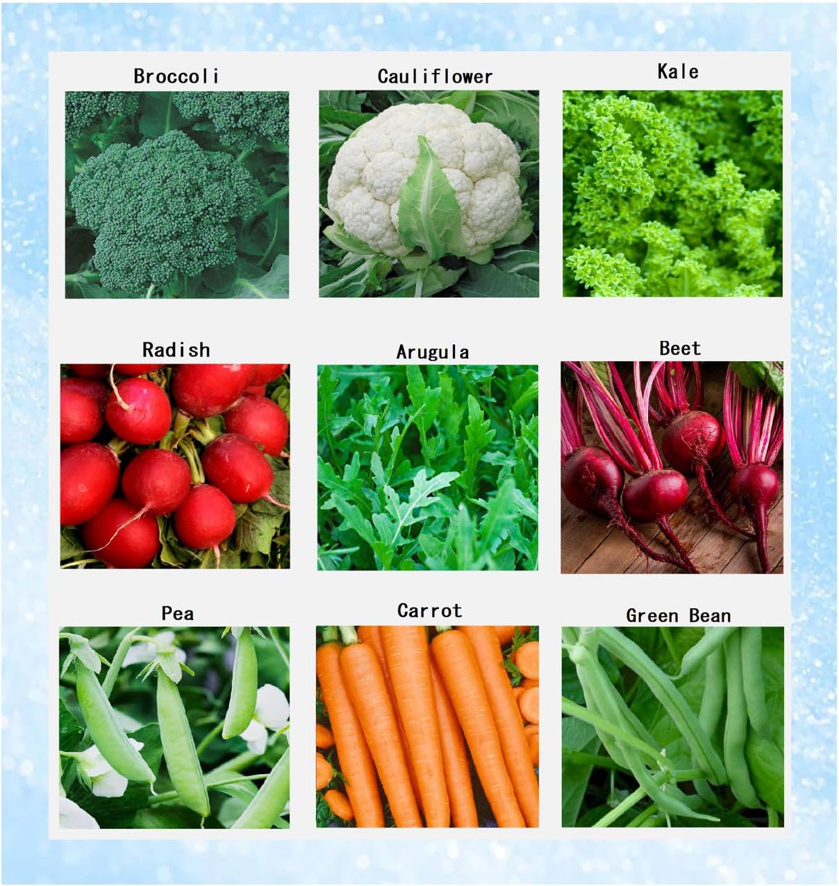 Premium Winter Vegetable Seeds Collection Organic Non-GMO Heirloom Seeds Radish, Pea, Broccoli, Beet, Carrot, Cauliflower, Green Bean, Kale, Arugula, Gardner and Chef Favorites : Patio, Lawn & Garden