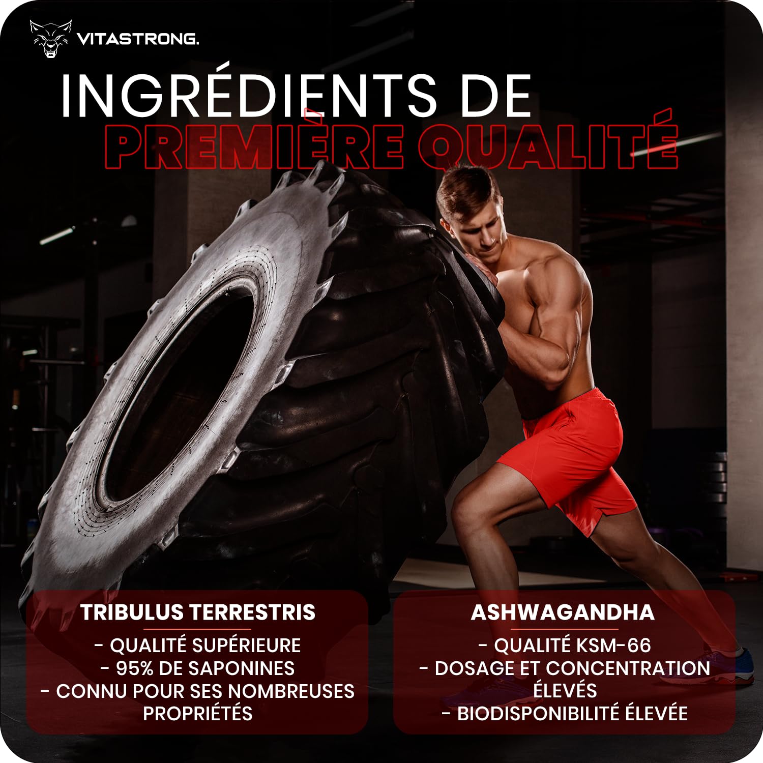 Vitastrong - Booster de testostérone, 100% naturel et sûr Comprimé, fabriqué en Italie, haute qualité, pour augmentation extrême des niveaux de testostérone et de la masse musculaire