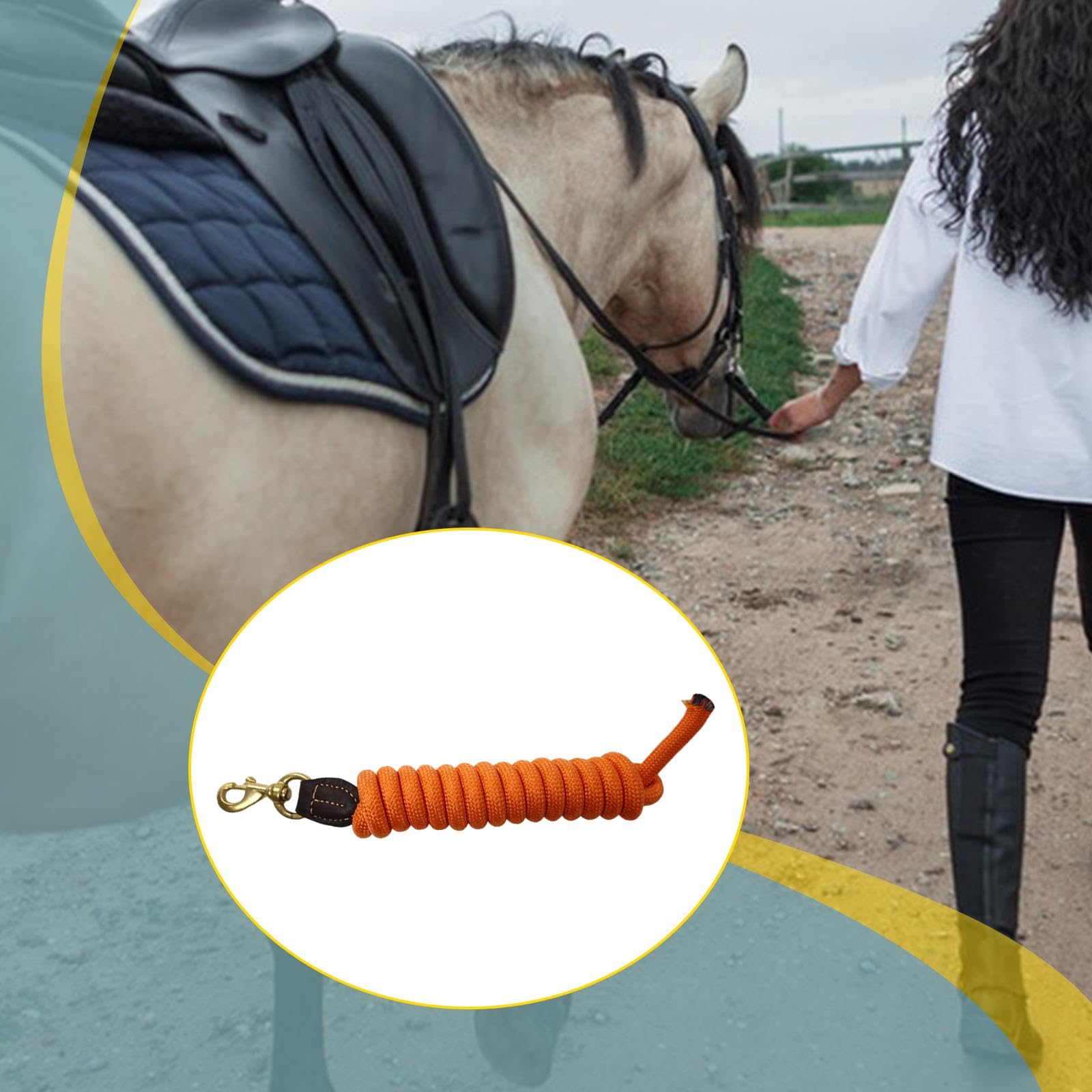Sharplace Longe d'entraînement en Nylon pour Cheval, rênes de 250 cm, Accessoire d'équitation pour Le Jeu, la Marche et Les Concours.