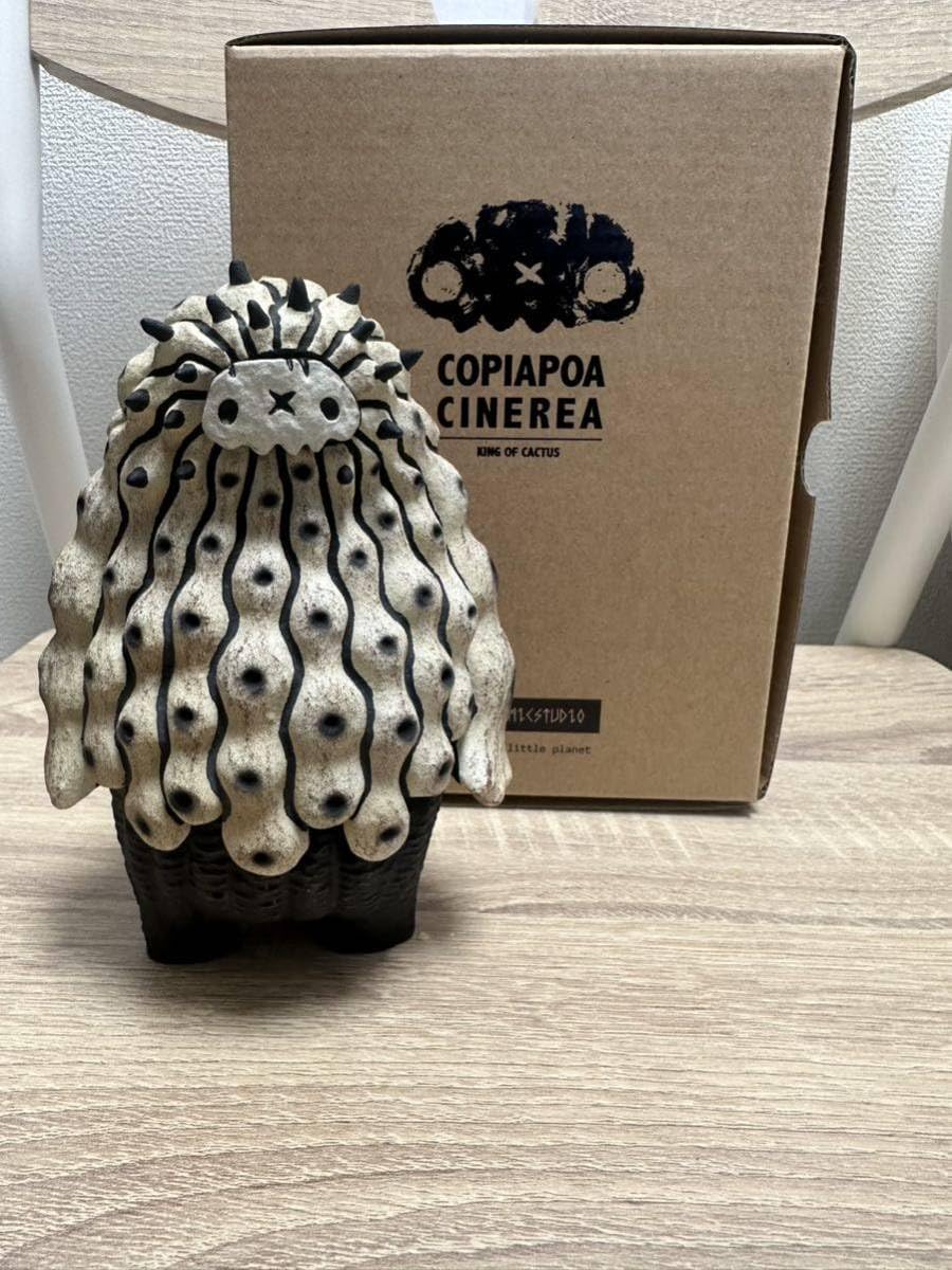 羅本製所 Copiapoa Daruma ロビン達磨 Robin Huang Copiapoa Cinerea 羅本黑王丸 羅本製所
