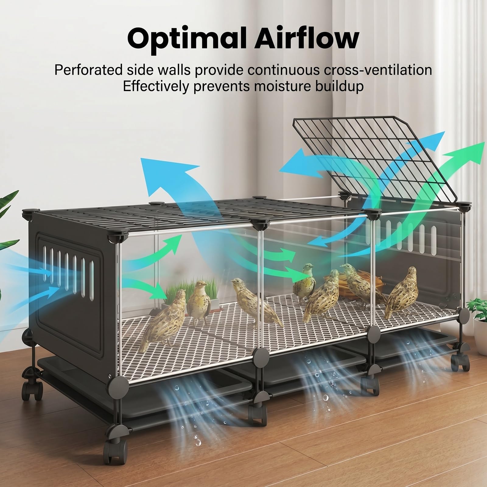 Jaula Grande para Animales pequeños, gallinero Transparente HD para Conejos y gallinas con Ruedas, Bandeja extraíble, Almohadillas Antideslizantes, Caja de cría para gallinas(Black,S)