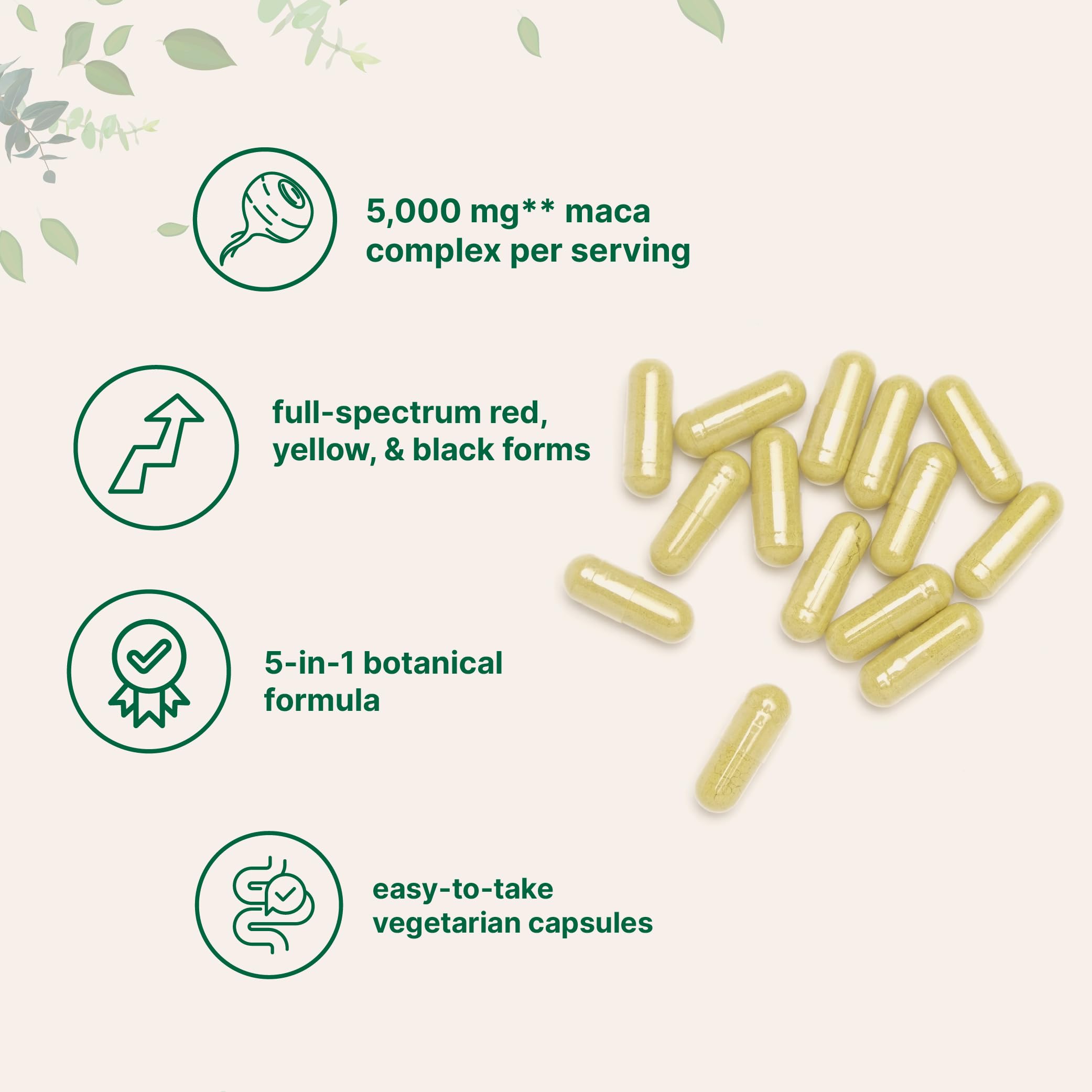 Micro Ingredients Maca Root for Women and Men, 240 Veggie Capsules | Red, Yellow, & Black Maca | with Ashwagandha, Panax Ginseng, Tongkat Ali, & Black Pepper Extract | Non-GMO, Vegan — Amazon image 3