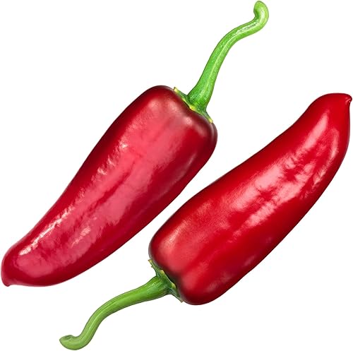 Semillas de pimiento - Caliente - Nu Mex Joe E Parker - 0.25 oz  1,250 semillas - Capsicum annuum - Semillas de vegetales de granja y jardín - Sin