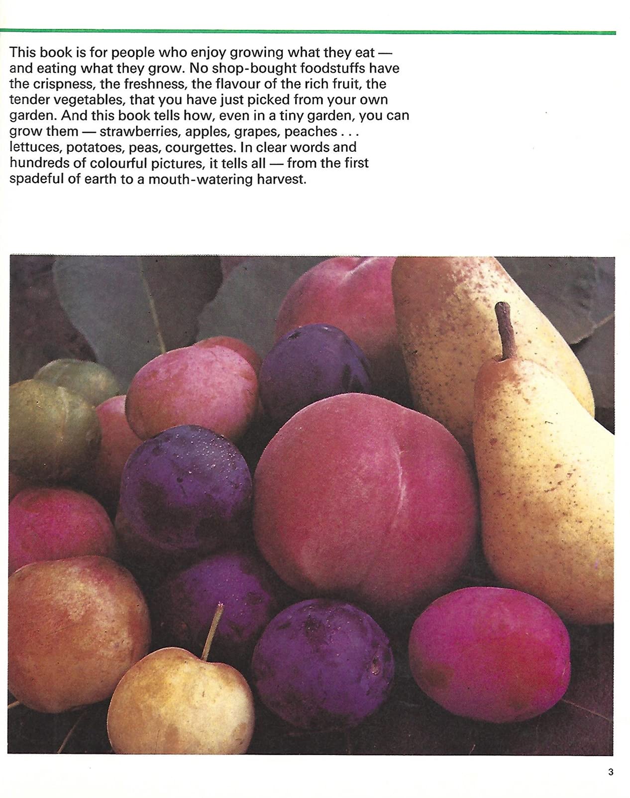 Growing for Cooking ("Golden Hands" S.)
