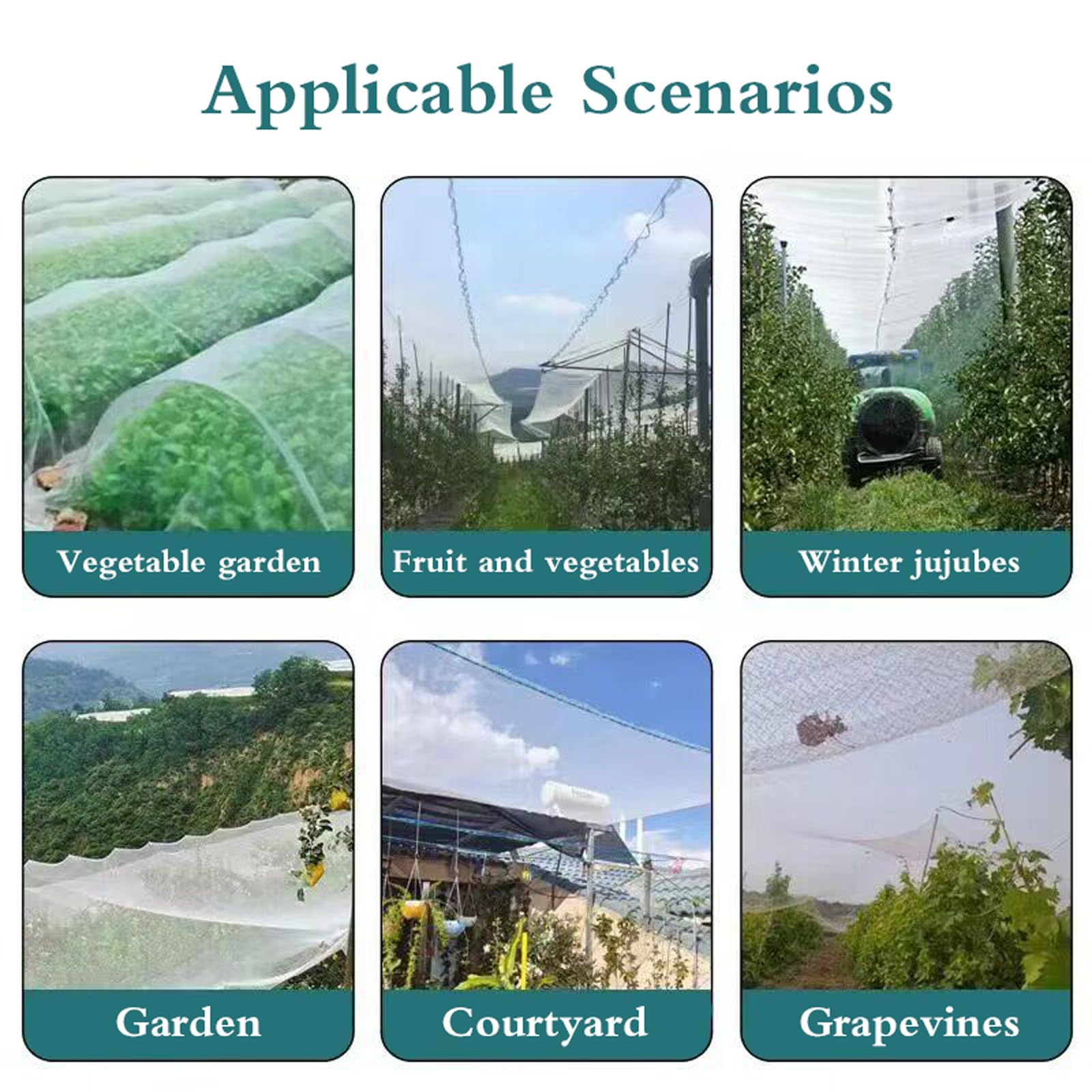 Rete Antigrandine per Orto,Reti Protettive da Giardino,Rete di Protezione antigrandine ad Alta Resistenza,Riutilizzabile,Protezione UV,per Frutta e Verdura,Giardini,Piante