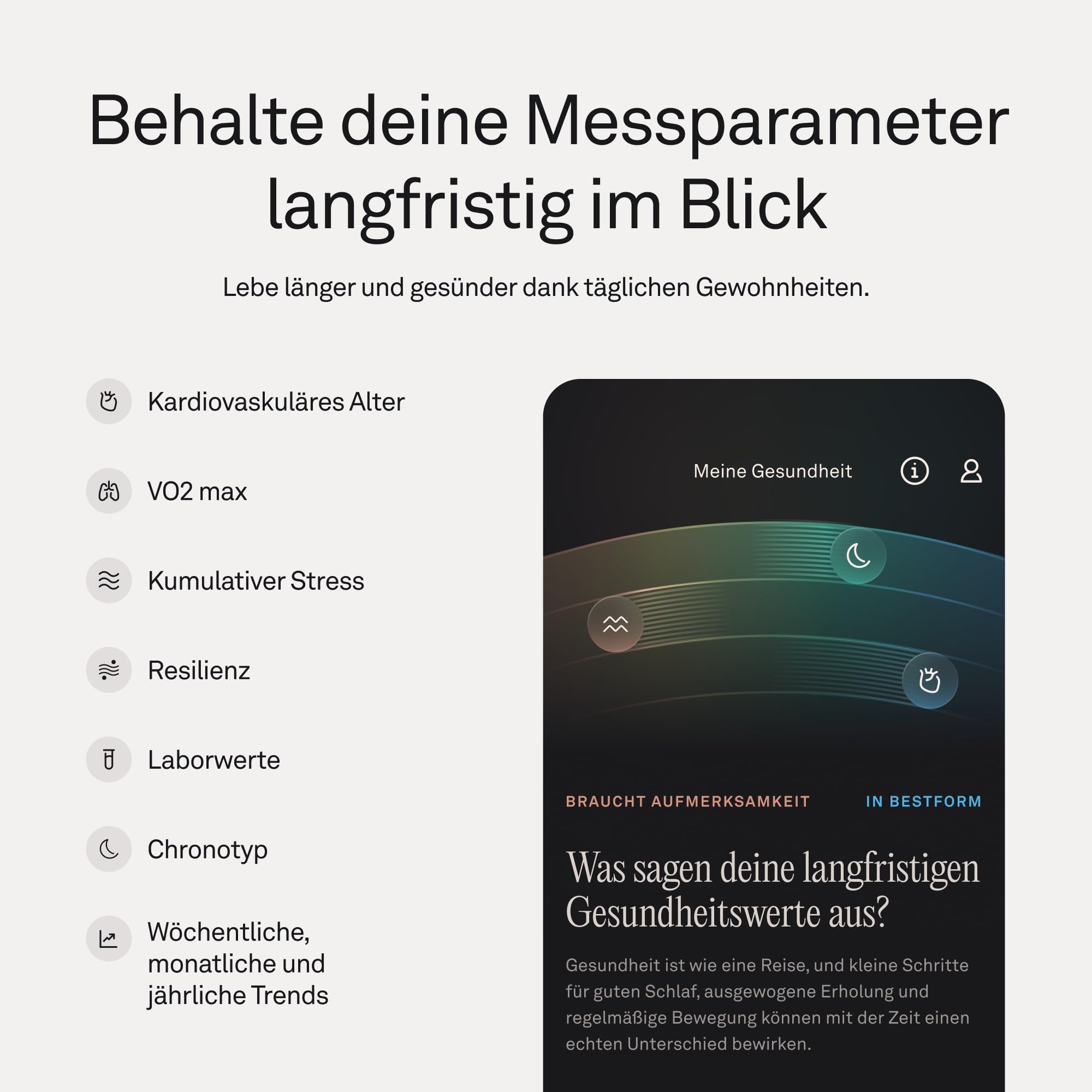 Oura Ring 5 Silver – Größe 9 – Finde Deine Ringgröße