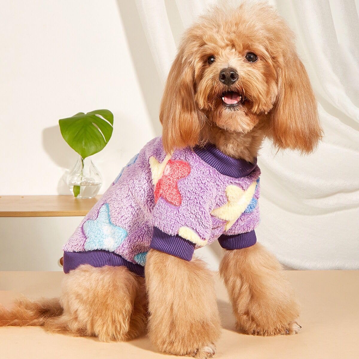 Small Dog and Cat Fleece Shirt, Cute Star Print Fashion Soft Flannel Shirt for Small Dog Puppy,Cat Purple Colour (Size :Medium: 40 cm (Chest) x 30 cm (Neck) (B0CLYLMW96) Amazon Price History, Amazon Price Tracker