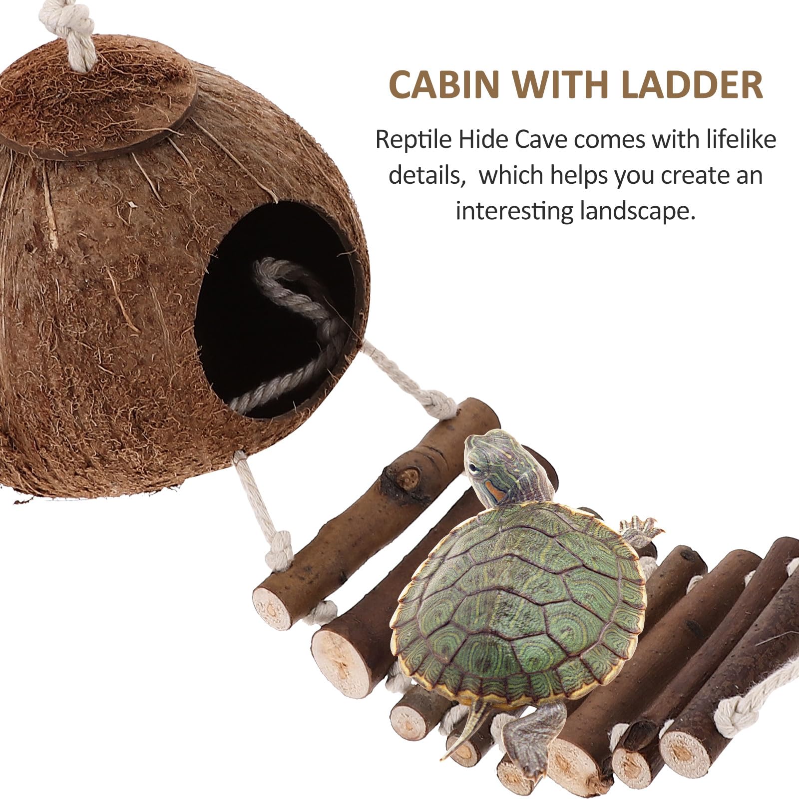 HEMOTON Refugio para Cangrejo Ermitaño de Madera Natural con Escalera, Escondite Rústico para Terrarios, Accesorio Decorativo para Reptiles, Suministros para Hábitat de Crustáceos