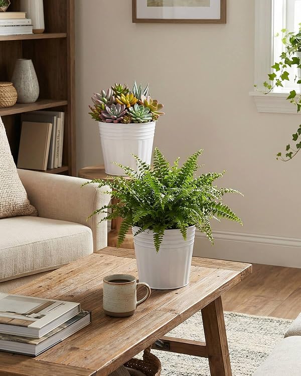 6 Inch White Metal Rustic Flower Pots - 6Pcs Galvanized Planters with Drainage Hole and Rubber Plug, Rustproof Metal Bucket Plant Pots Farmhouse Vintage Style for Decor by vensovo - Image 4