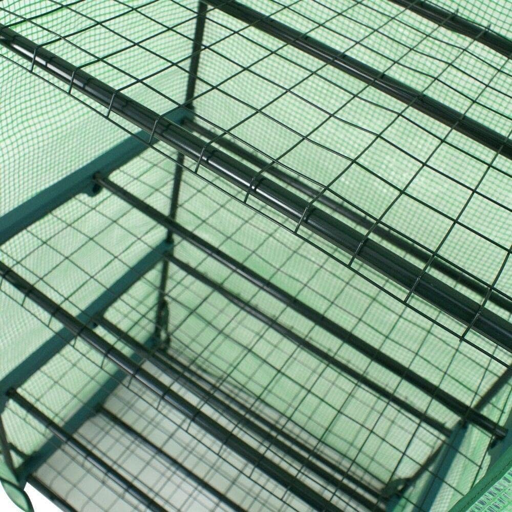 View 8