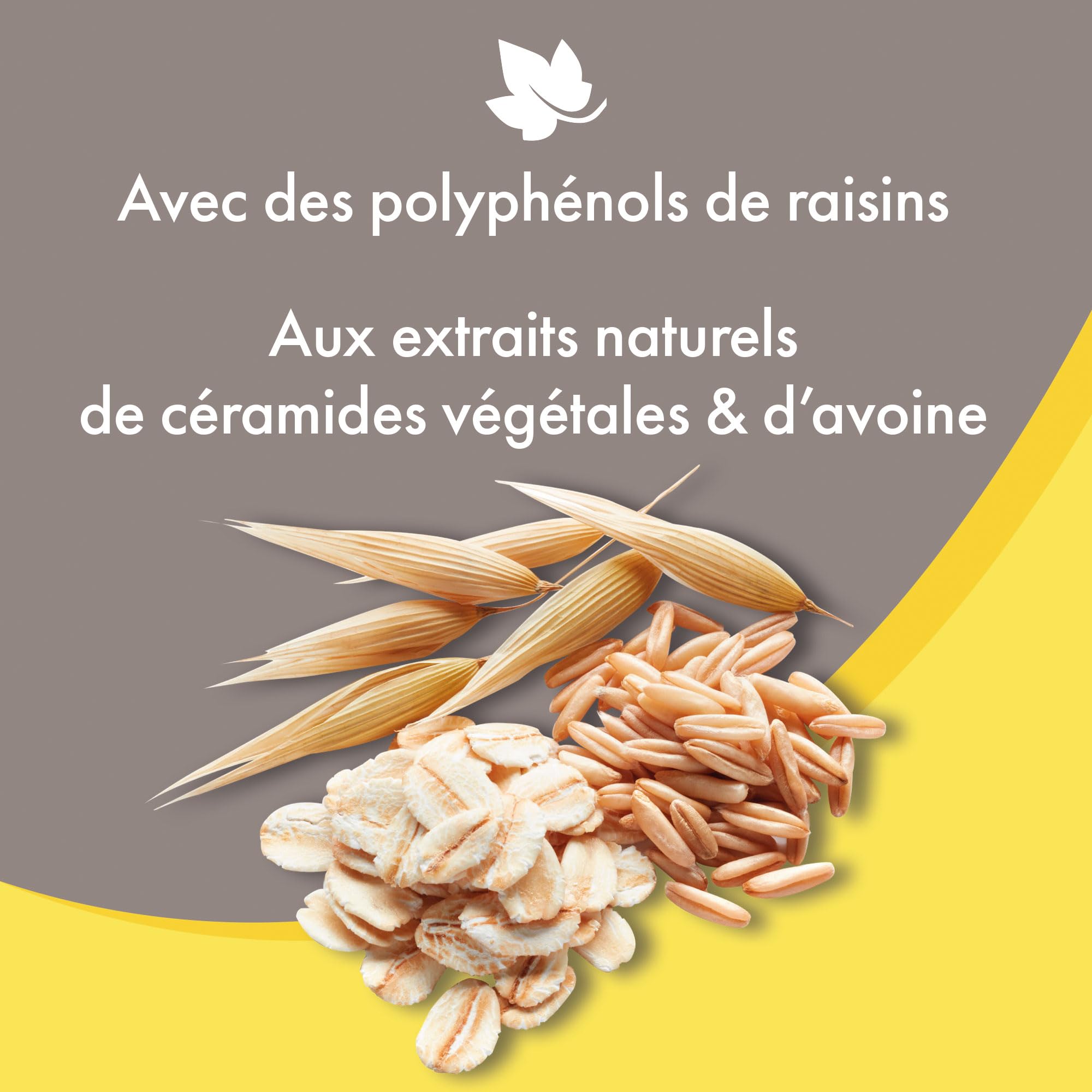 BEAPHAR – Shampoing Premium démêlant pour Chien aux Poils Longs – Aux extraits naturels de céramides végétales & d’Avoine – Démêle et nourrit – Pelage Brillant – pH Neutre & sans parabens – 750 ML