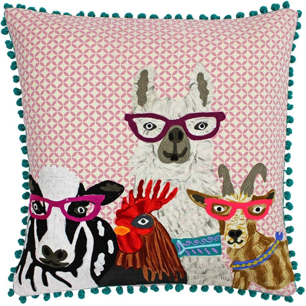 paoletti cushion covers