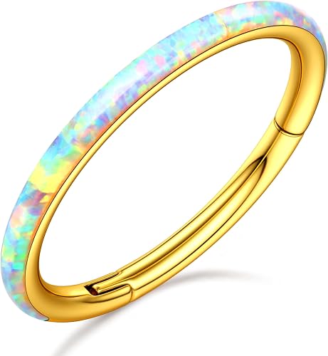 BodyBonita Côté Blanc Opale Septum Piercing Nez - 18G Anneaux de Nez à Charnière
