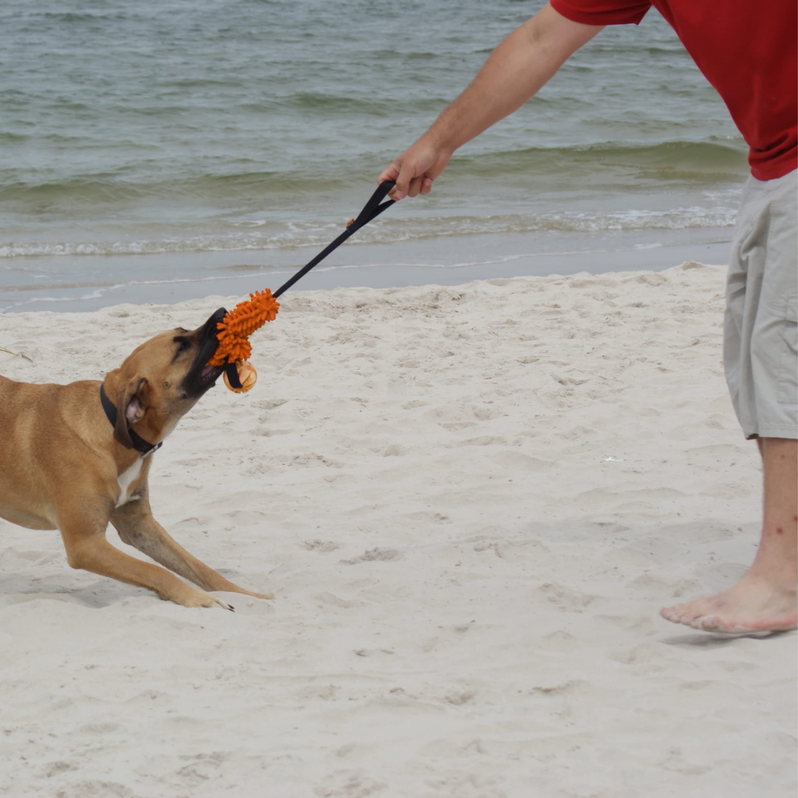 Dingo Dog Training Toy Mop Bite Tug Bungee Handle with a Ball, Orange Tug of War, mop tug - Image 4