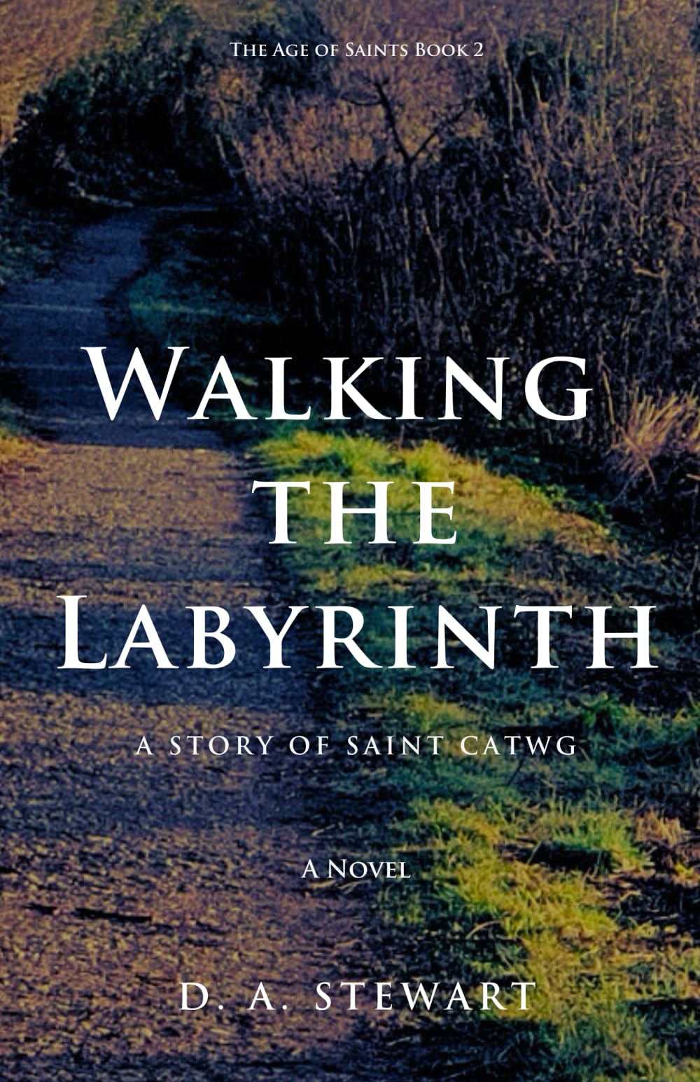Walking the Labyrinth: A Story of Saint Catwg: 2 (The Age of Saints)