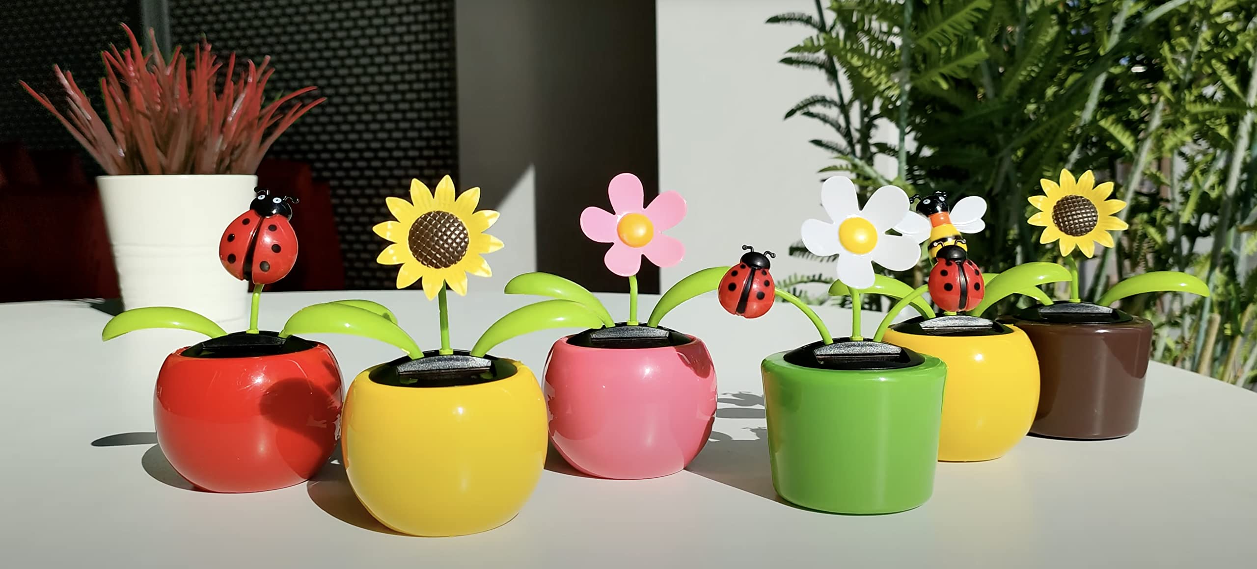 Set of 6 Cute Solar Power Flip Flap Flower Insect for Car Decoration Window Car Dashboard Decor Swing Dancing Flower (Medium Pack(6 pcs))