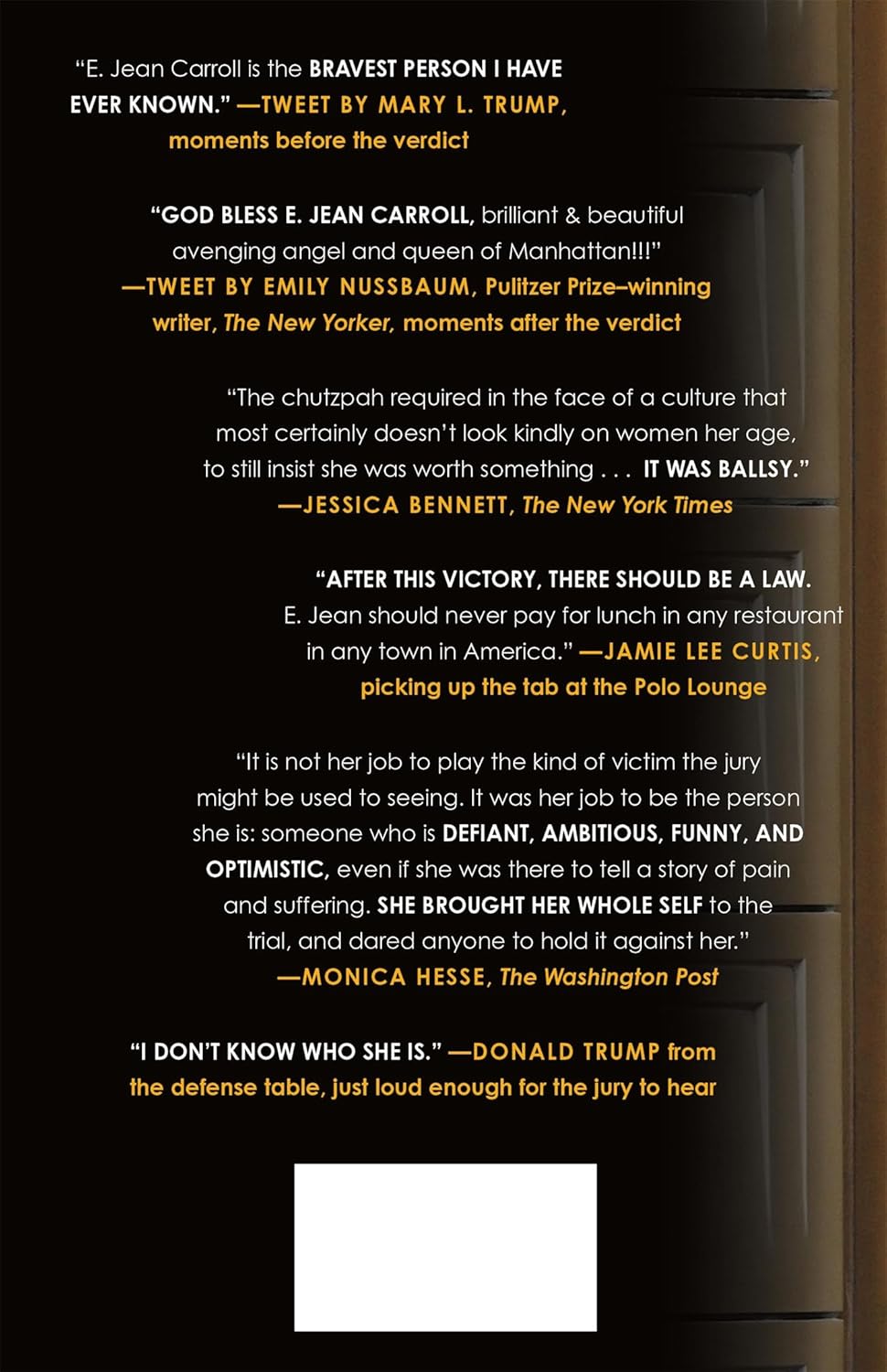 Not My Type: One Woman vs. a President - Image 2