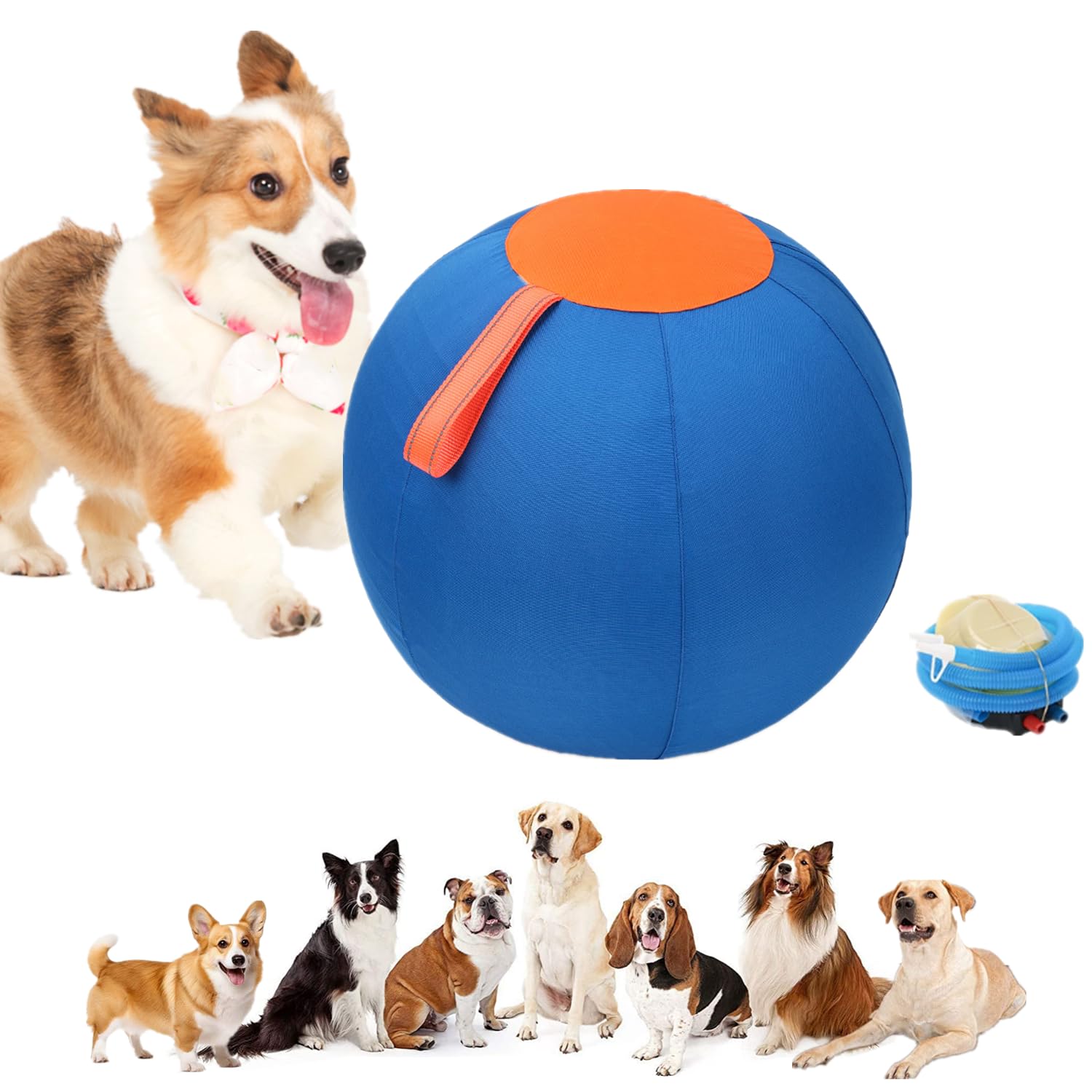 Balle géante pour chien et animaux de compagnie Ø 25cm