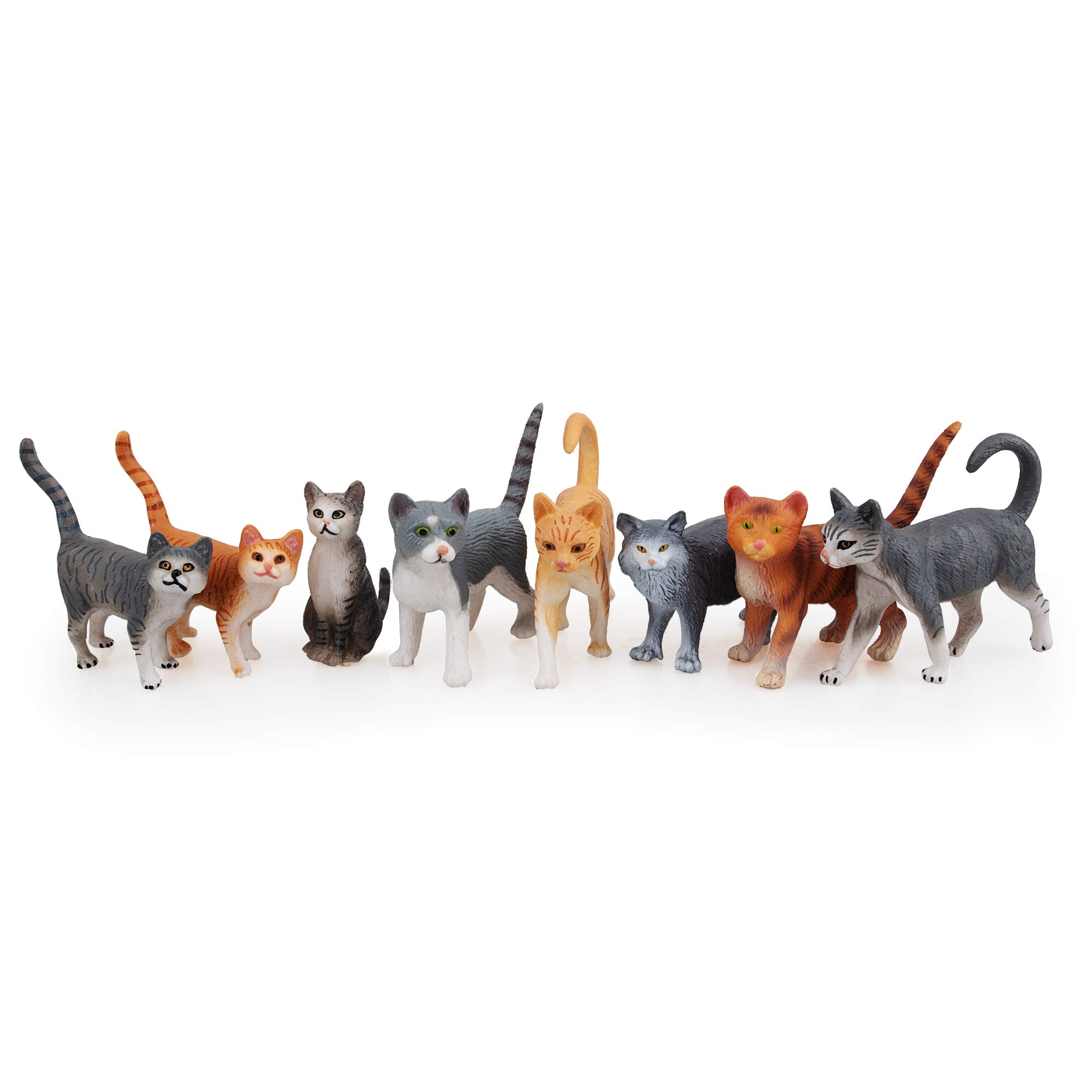 Cat set