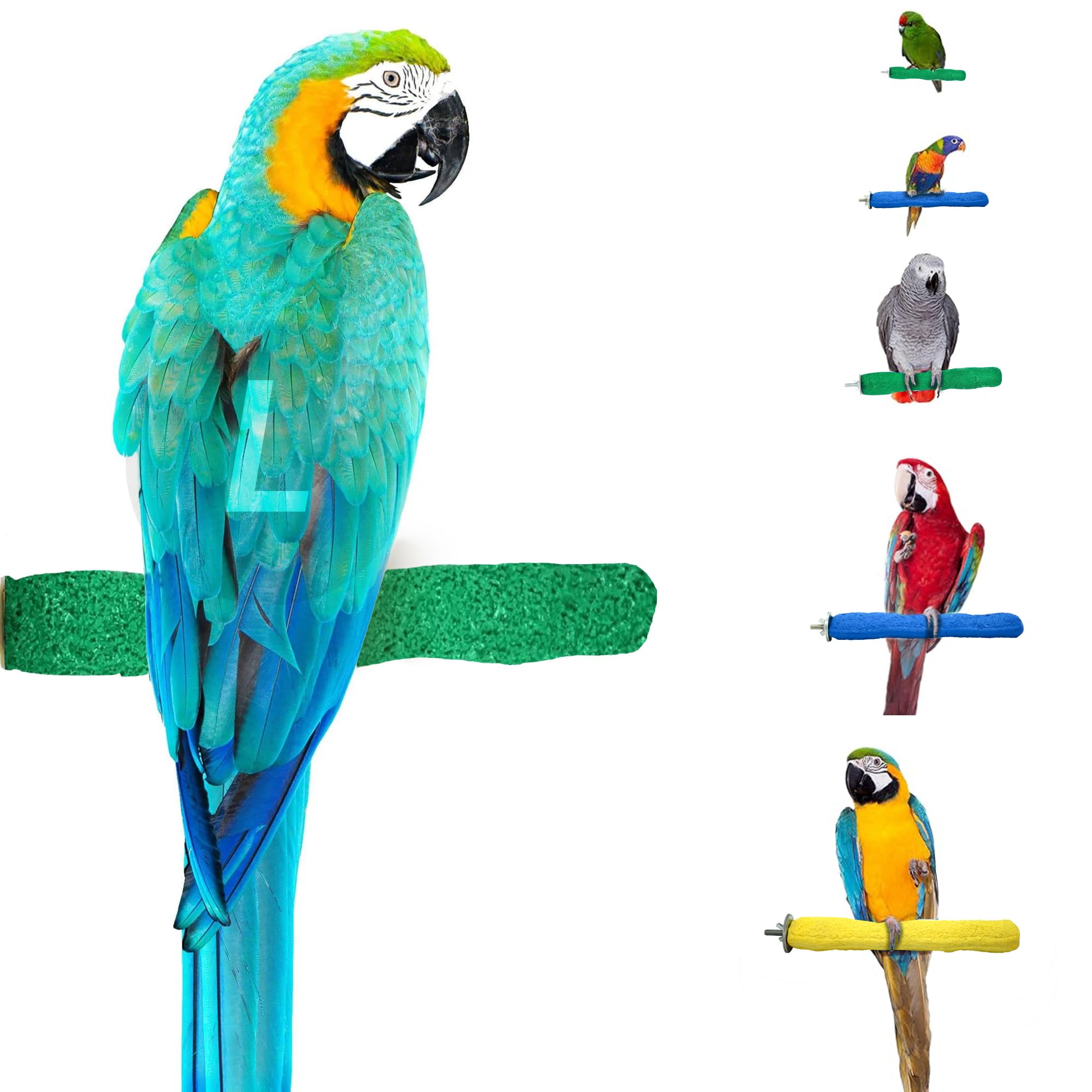 Sweet Feet and Beak Comfort Grip Safety Bird Pumice Perch - Patented Bird Perch Keeps Nails and Beak in Top Condition - Imitates Birds' Life in the Wild - Non-Toxic - Hangs Easily - Large - Green