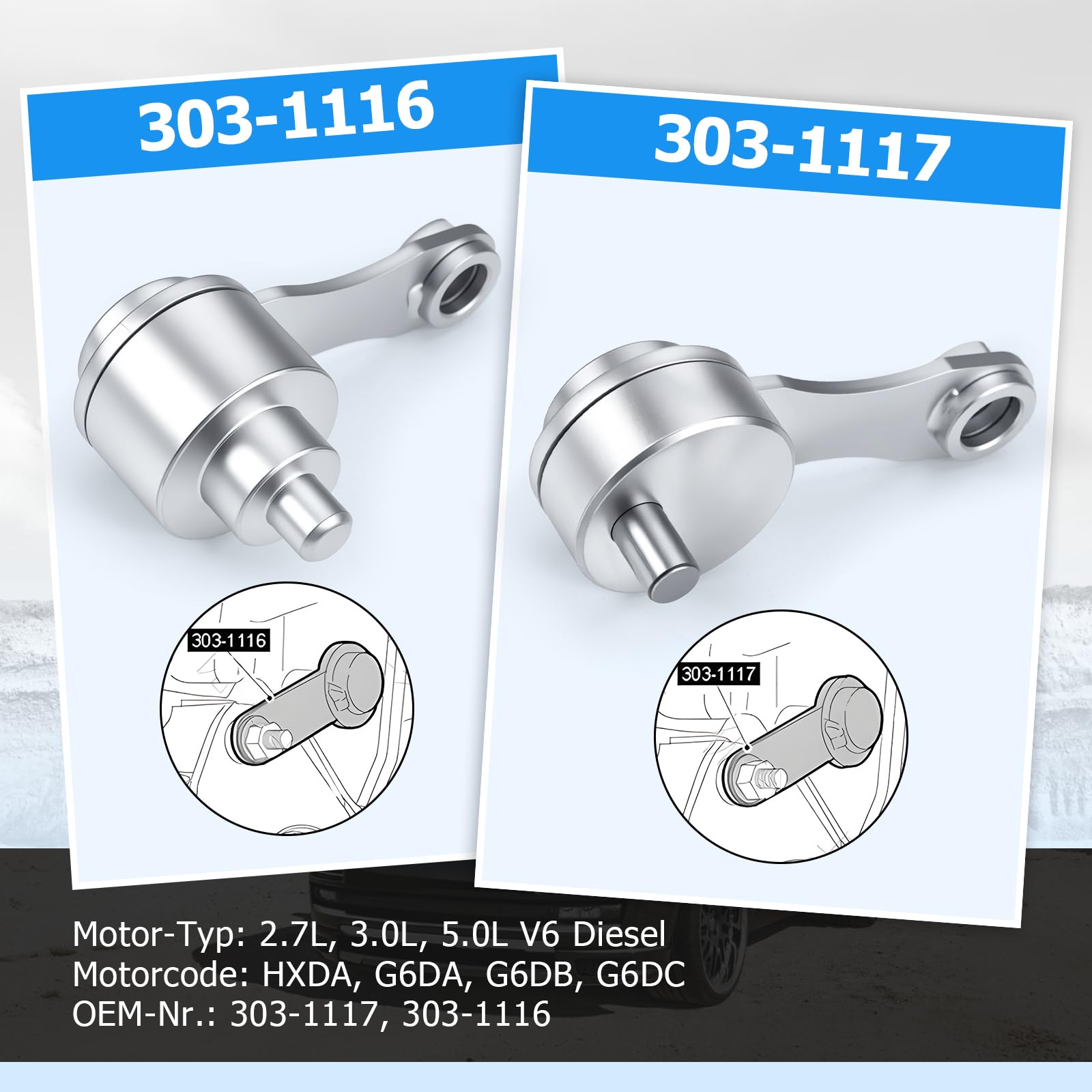 RUIZHI Lot de 10 outils de verrouillage d'arbre à cames pour moteur diesel 2,7 L, 3,0 L, 5,0 L, V6 (par exemple pour modèles Land Rover et Jaguar), OEM 303-1117, 303-1116
