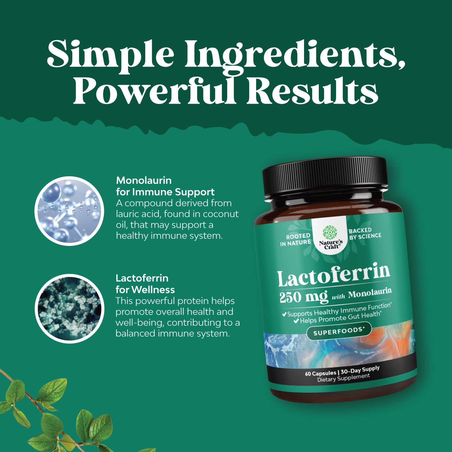 High Strength 250mg Lactoferrin & 1000mg Monolaurin Supplement - Microbiome Digestive Health Immune Support Supplement - Lactoferrin and Monolaurin Capsules - Vegetarian - 60 Count (Pack of 1) — Amazon image 4