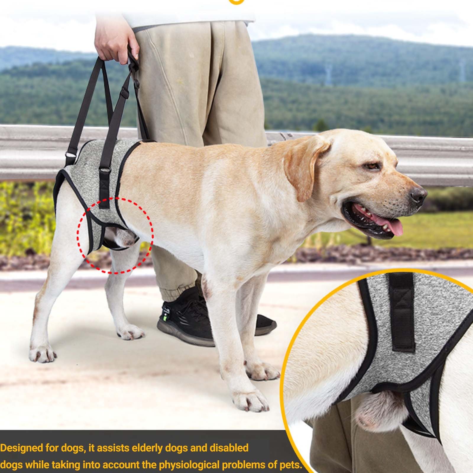 Imbracatura per Dog, Redipet per Cani, Tutore Zampa Posteriore Cane, Fascia per Sollevare Cani, Imbracatura per Dog, Harness Cane Zampe Posteriori, Disabili e Disabili. (S)