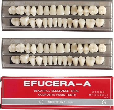 Dental Synthetic Resin Tooth Denture False Teeth for Halloween Horror Teeth 23 A356 Pcs/2Set