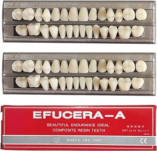 RZJZGZ Synthetic Resin Tooth Denture False Teeth for Halloween Horror Teeth 23 A3(56 Pcs/2Set)