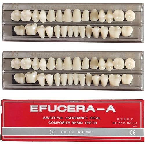 RZJZGZ Synthetic Resin Tooth Denture False Teeth for Halloween Horror Teeth 23 A3(56 Pcs/2Set)