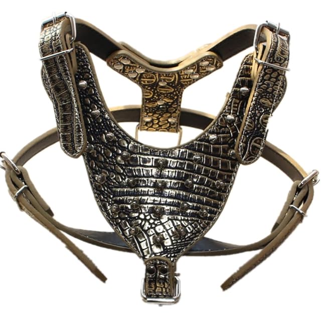 Foto 2 de 4 de haoyueer Collares, arneses y correas de cuero afilado, 3 piezas a juego para perros medianos y grandes, mastín