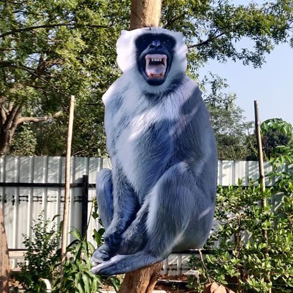 Cut out 24x16 inch 5mm Sunpack Langoor (Monkey),| Unbreakable | Decorative for Indoor & Out Door Wall/roof/shop/Exhibitions etc.-image-9