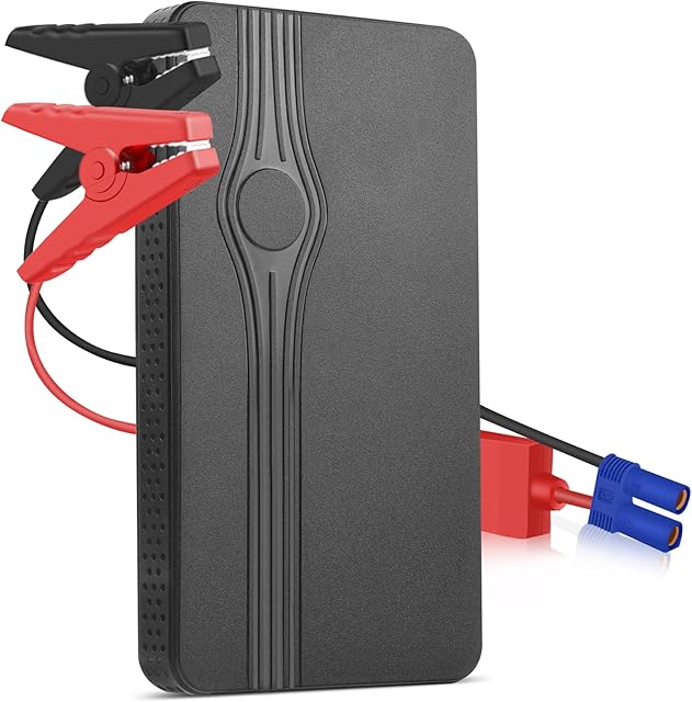 Car Jump Starter, Portable Car Battery Charger Jump Starter, 600A Peak Auto Jump Box, 12V Power Pack Jumper Start & Phone Charger with USB Port, Cables & LED Flashlight