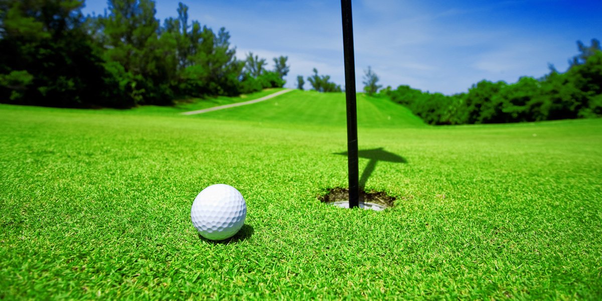 Raunak Seeds Golf Grass Lawn Grass Seeds (Pack Of 200 Seeds) (B0749PSYMF) Amazon Price History, Amazon Price Tracker